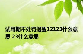 试用期不处罚提醒12123什么意思 23什么意思