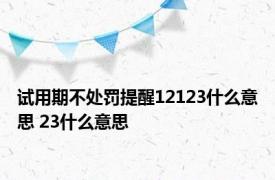 试用期不处罚提醒12123什么意思 23什么意思