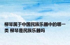 柳琴属于中国民族乐器中的哪一类 柳琴是民族乐器吗