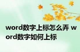 word数字上标怎么弄 word数字如何上标