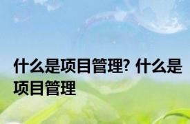 什么是项目管理? 什么是项目管理