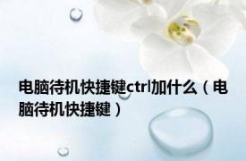 电脑待机快捷键ctrl加什么（电脑待机快捷键）