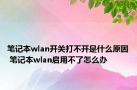 笔记本wlan开关打不开是什么原因 笔记本wlan启用不了怎么办