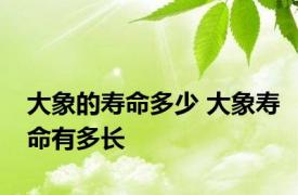 大象的寿命多少 大象寿命有多长