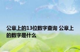 公章上的13位数字查询 公章上的数字是什么