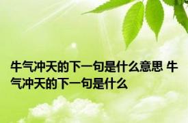 牛气冲天的下一句是什么意思 牛气冲天的下一句是什么