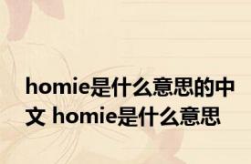 homie是什么意思的中文 homie是什么意思