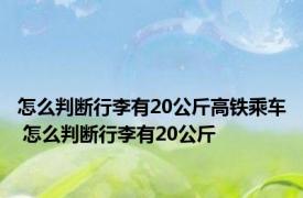 怎么判断行李有20公斤高铁乘车 怎么判断行李有20公斤