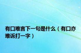 有口难言下一句是什么（有口亦难诉打一字）