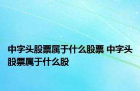 中字头股票属于什么股票 中字头股票属于什么股