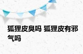 狐狸皮臭吗 狐狸皮有邪气吗