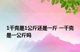 1千克是1公斤还是一斤 一千克是一公斤吗