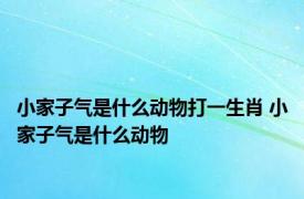 小家子气是什么动物打一生肖 小家子气是什么动物