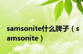 samsonite什么牌子（samsonite）