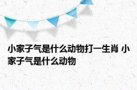 小家子气是什么动物打一生肖 小家子气是什么动物