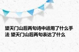 望天门山后两句诗中运用了什么手法 望天门山后两句表达了什么