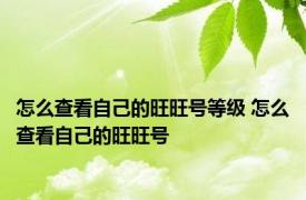 怎么查看自己的旺旺号等级 怎么查看自己的旺旺号