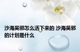 沙海吴邪怎么活下来的 沙海吴邪的计划是什么