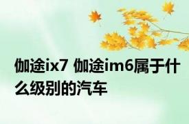 伽途ix7 伽途im6属于什么级别的汽车