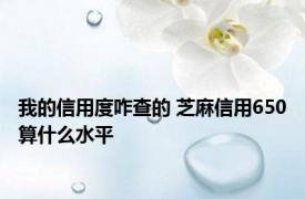 我的信用度咋查的 芝麻信用650算什么水平