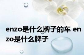 enzo是什么牌子的车 enzo是什么牌子