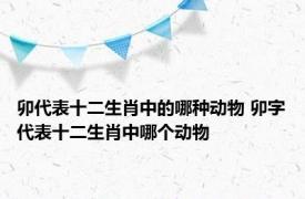 卯代表十二生肖中的哪种动物 卯字代表十二生肖中哪个动物