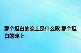 那个坦白的晚上是什么歌 那个坦白的晚上 