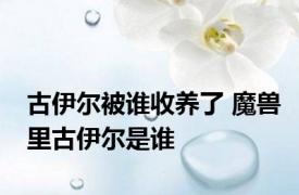 古伊尔被谁收养了 魔兽里古伊尔是谁