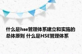 什么是hse管理体系建立和实施的总体原则 什么是HSE管理体系