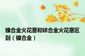 镍合金火花塞和铱合金火花塞区别（镍合金）