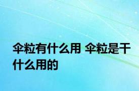 伞粒有什么用 伞粒是干什么用的