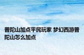 普陀山加点平民玩家 梦幻西游普陀山怎么加点