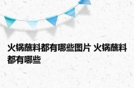 火锅蘸料都有哪些图片 火锅蘸料都有哪些