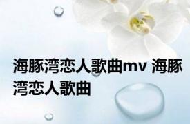 海豚湾恋人歌曲mv 海豚湾恋人歌曲 