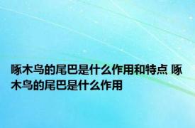 啄木鸟的尾巴是什么作用和特点 啄木鸟的尾巴是什么作用