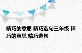 精巧的意思 精巧造句三年级 精巧的意思 精巧造句