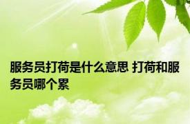 服务员打荷是什么意思 打荷和服务员哪个累