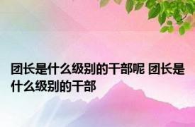 团长是什么级别的干部呢 团长是什么级别的干部