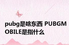 pubg是啥东西 PUBGMOBILE是指什么