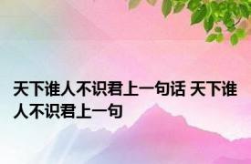 天下谁人不识君上一句话 天下谁人不识君上一句