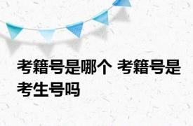 考籍号是哪个 考籍号是考生号吗