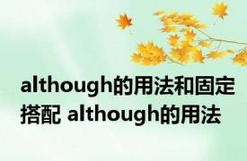 although的用法和固定搭配 although的用法