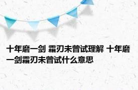 十年磨一剑 霜刃未曾试理解 十年磨一剑霜刃未曾试什么意思