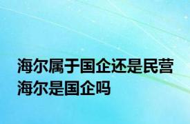 海尔属于国企还是民营 海尔是国企吗