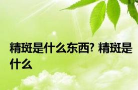 精斑是什么东西? 精斑是什么