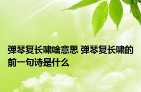 弹琴复长啸啥意思 弹琴复长啸的前一句诗是什么