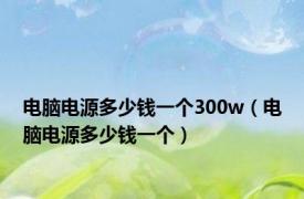 电脑电源多少钱一个300w（电脑电源多少钱一个）