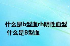 什么是b型血rh阴性血型 什么是B型血