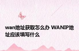 wan地址获取怎么办 WANIP地址应该填写什么