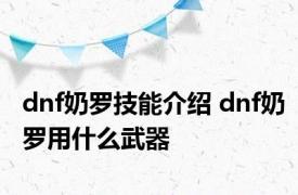 dnf奶罗技能介绍 dnf奶罗用什么武器